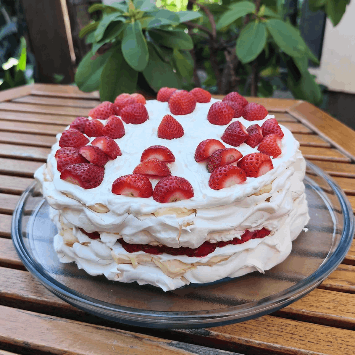 Ciambella poslastičarnica ana pavlova 318-317